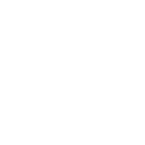 ELECTRIU